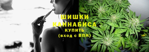 круглые Гусев